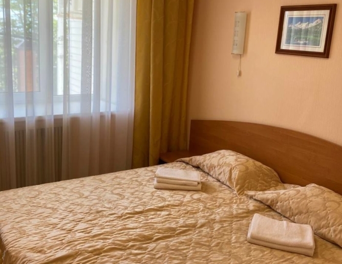 Полулюкс 2-местный 2-комнатный - Санаторий «Рожок» Рожок