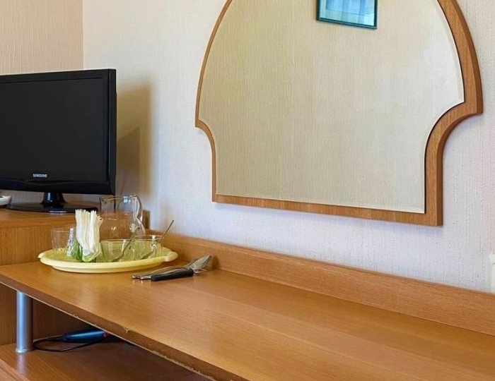 Стандарт 2-местный - Санаторий «Рожок» Рожок